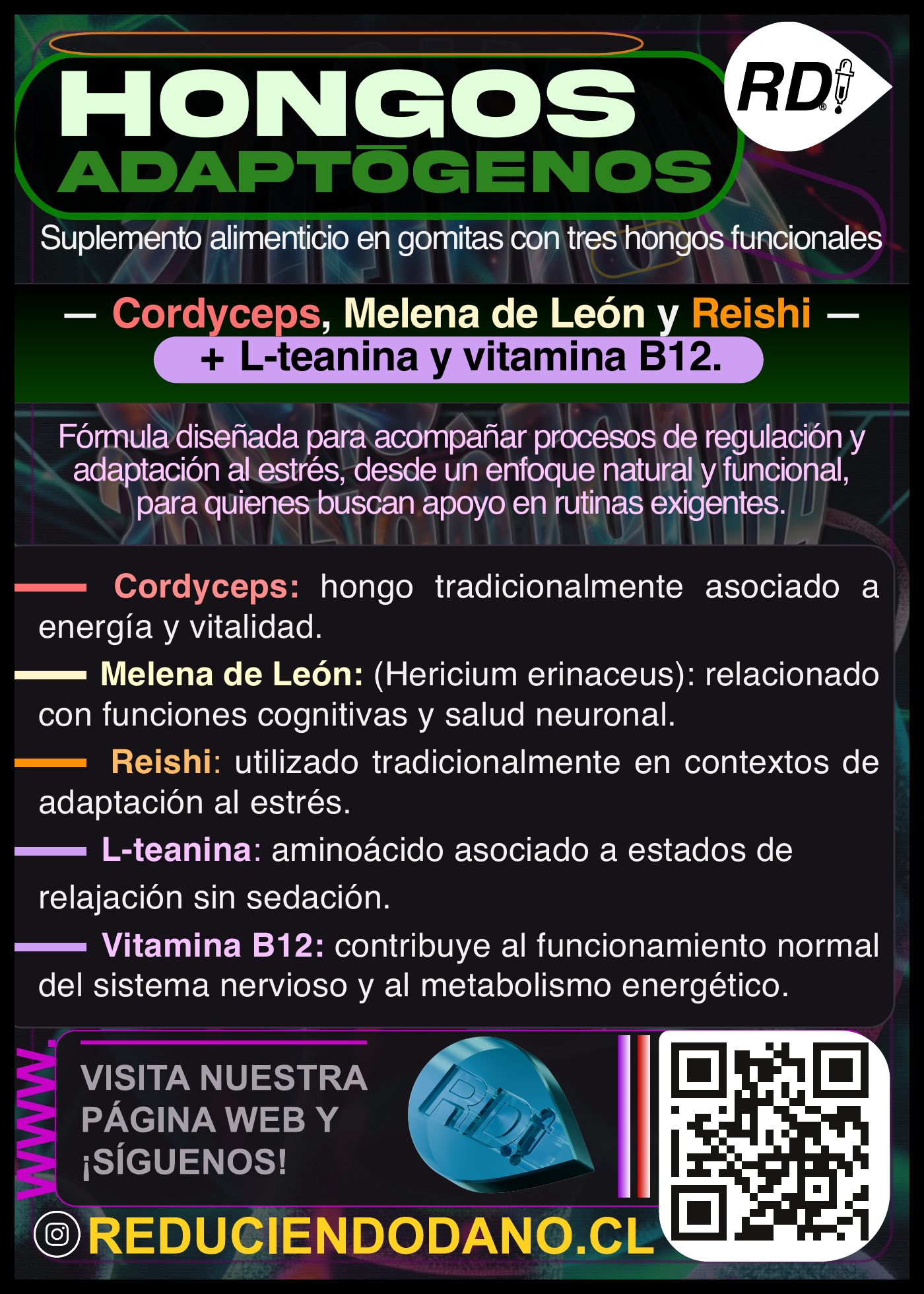rd-flyer-hongos-info Flyer informativo de Hongos Adaptógenos RD en gomitas: Cordyceps, Melena de León, Reishi, L-teanina y vitamina B12