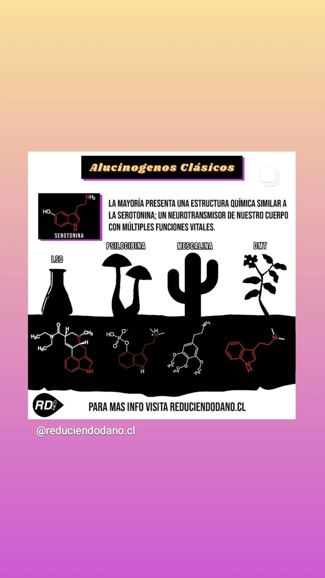 Alucinógenos clásicos: estructura química similar a la serotonina