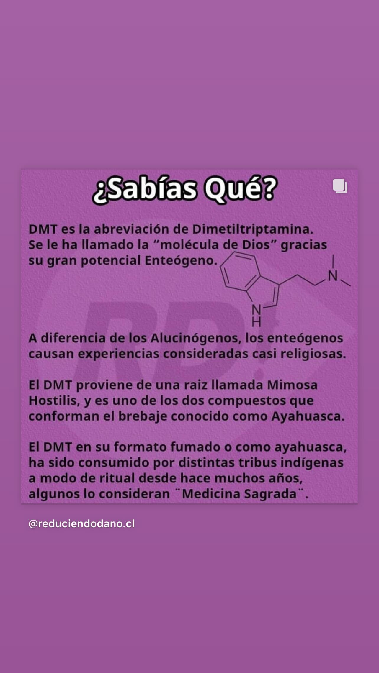 Qué es el DMT (dimetiltriptamina)
